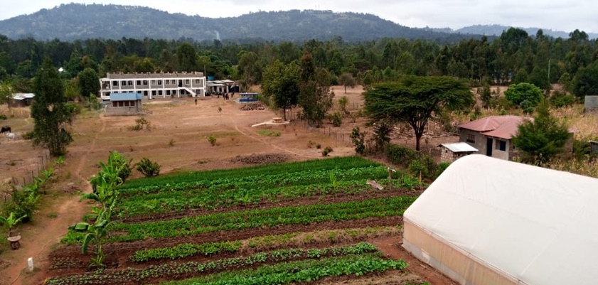 Picture of the farm